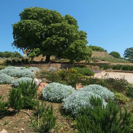 Mani House-ktima Kriviana Vila