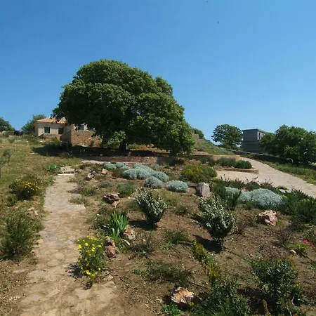 Mani House-ktima Kriviana Villa